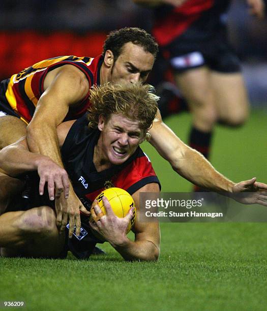Jason Johnson of Essendon dives for the ball in front of Bryan Beike of Adelaide during the AFL Match between Essendon Bombers and the Adelaide Crows...