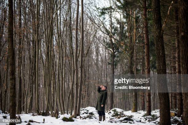 Georg Schoeppl, chief financial officer of Oesterreichische Bundesforste AG, poses for a photograph in an Austrian forest, owned by Oesterreichische...