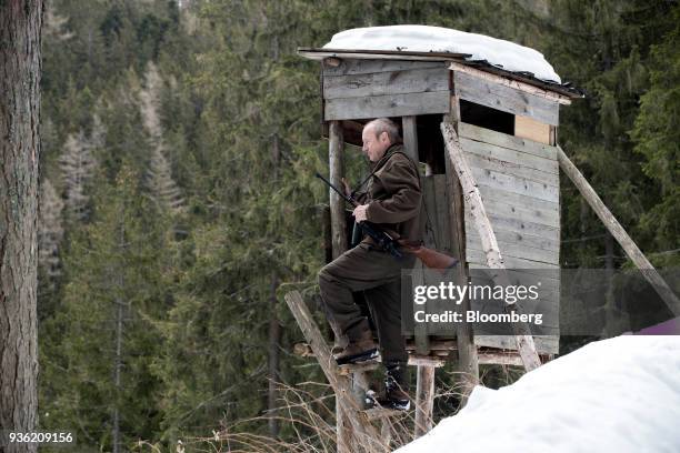 Heinrich Bubna-Litic, forest owner and hunter, holds his rifle while standing on the steps of a wooden tower in the forest, near the village of Stanz...