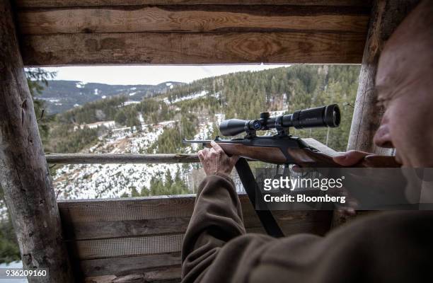 Heinrich Bubna-Litic, forest owner and hunter, aims his rifle as he sits inside a wooden tower in the forest, near the village of Stanz im Muerztal...