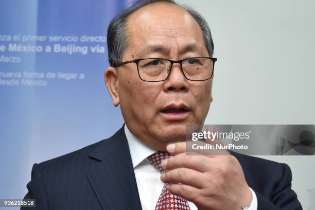 Chinese's Ambassador to Mexico Qiu Xiaoaqui is seen during a press conference to announce the new flight Beijing-Mexico of the Hainan airline on...