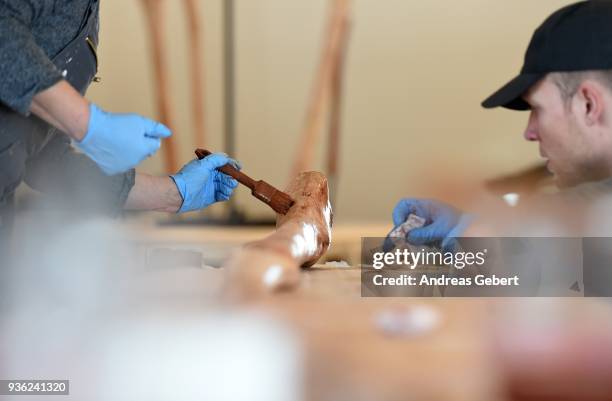 Museum workers prepare a bone of a representation of what museum officials claim is the world's biggest discovered winged dinosaur prior to its...