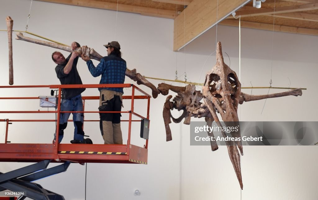 World's Biggest Winged Dinosaur Presented In Bavarian Museum