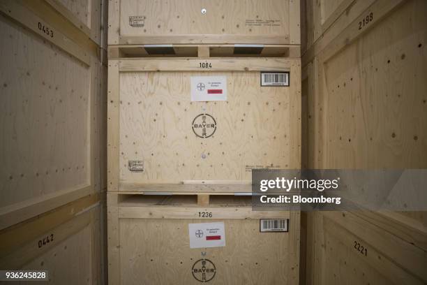 Crates of rapeseed stand stacked inside the Bayer CropScience AG processing facility in Monheim, Germany, on Wednesday, March 21, 2018. Bayer cleared...