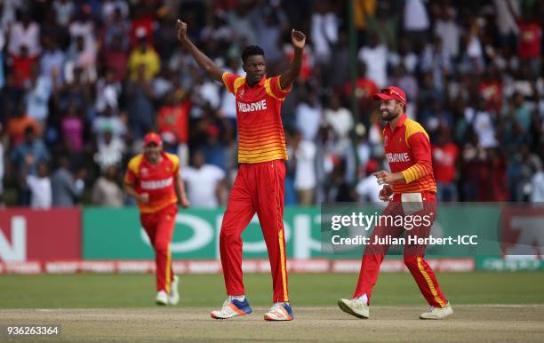 Blessing Muzarabani and Sean Ervine of Zimbabwe celebrate the wicket of Ahmed Raza of the UAE during The ICC Cricket World Cup Qualifier between the...