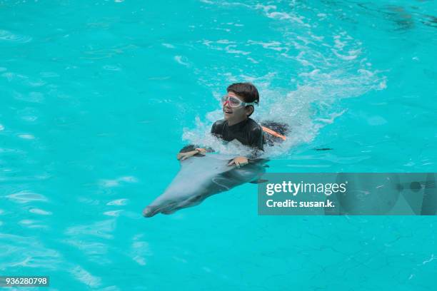 young boy is smiling happily, having fun swimming with dolphin. - brustflosse stock-fotos und bilder