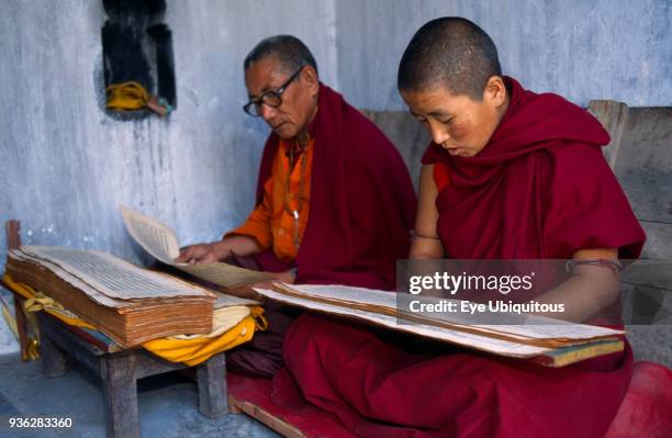 India, Bihar, Bodhgaya, Two Buddhist monks reading scriptures.