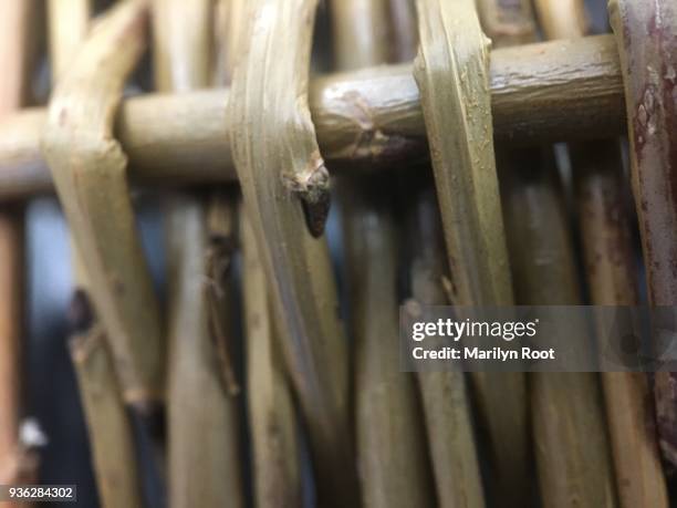 Wilow Reed Woven Willow Photos and Premium High Res Pictures - Getty Images