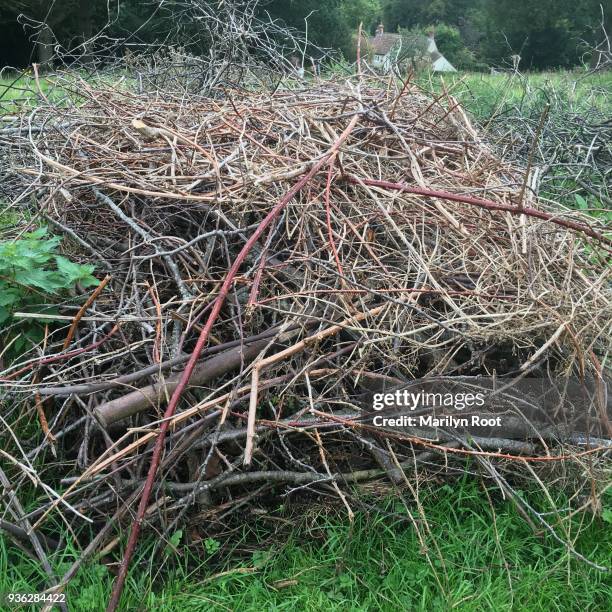 tree branches twigs brush in heap in field ready for bonfire - escoba fotografías e imágenes de stock