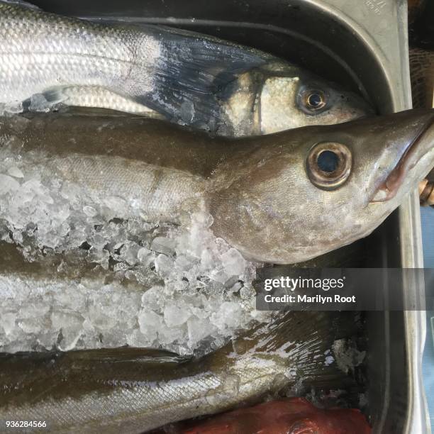 slippery oily fresh fish on ice - oily slippery stockfoto's en -beelden