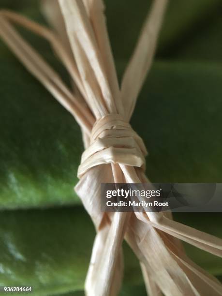 Fresh Raffia Raffia Plant Photos and Premium High Res Pictures - Getty Images