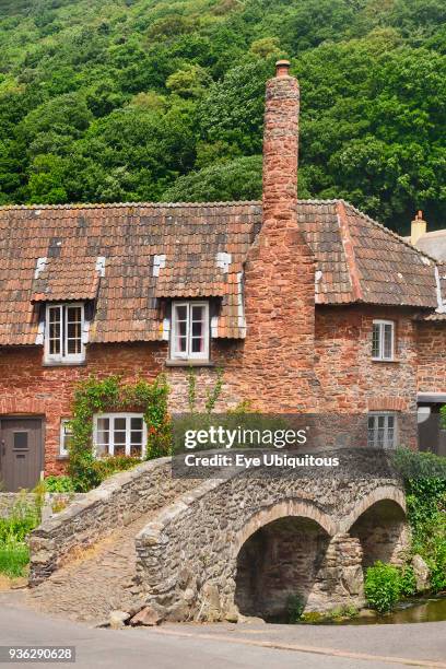 England, Somerset, Allerford, Packhorse bridge.