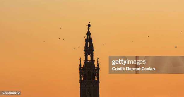 spain, andalusia, seville, bell tower of la giralda against yellow sky with birds flying around - la giralda photos et images de collection