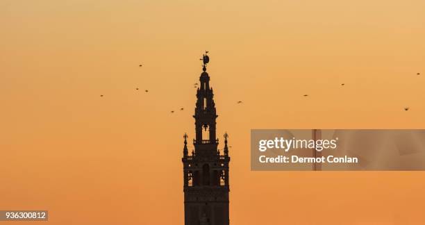 spain, andalusia, seville, bell tower of la giralda against yellow sky with birds flying around - seville cathedral stock pictures, royalty-free photos & images