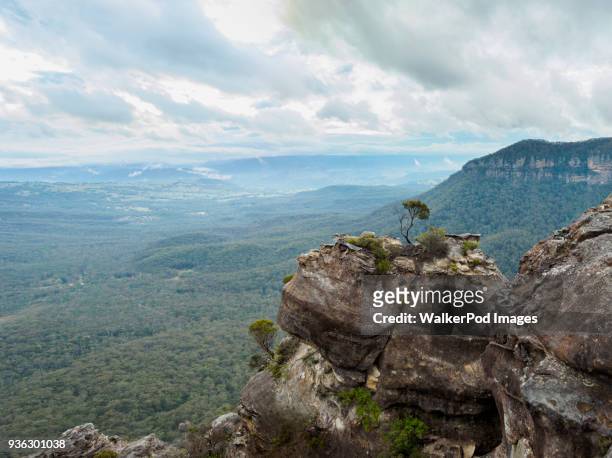australia, new south wales, katoomba, vast valley surrounded by high rocks - mount lofty south australia stock pictures, royalty-free photos & images