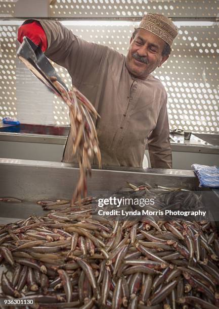 Muscat Fish Muscat Fish Photos and Premium High Res Pictures - Getty Images