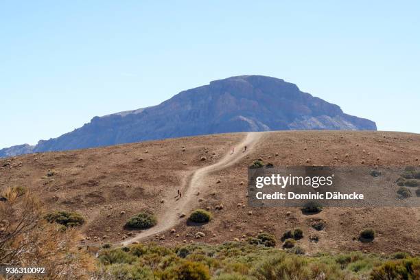 people walgin at teide´s national park, in tenerife (canary islands) - dähncke stock pictures, royalty-free photos & images