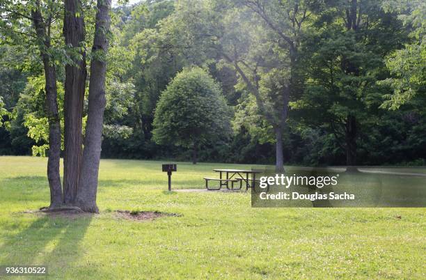 picnic area at the park - picnic rug stockfoto's en -beelden