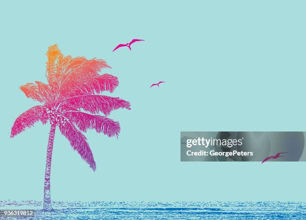 schabkunst abbildung von einem karibischen strand mit palme - spring break stock-grafiken, -clipart, -cartoons und -symbole