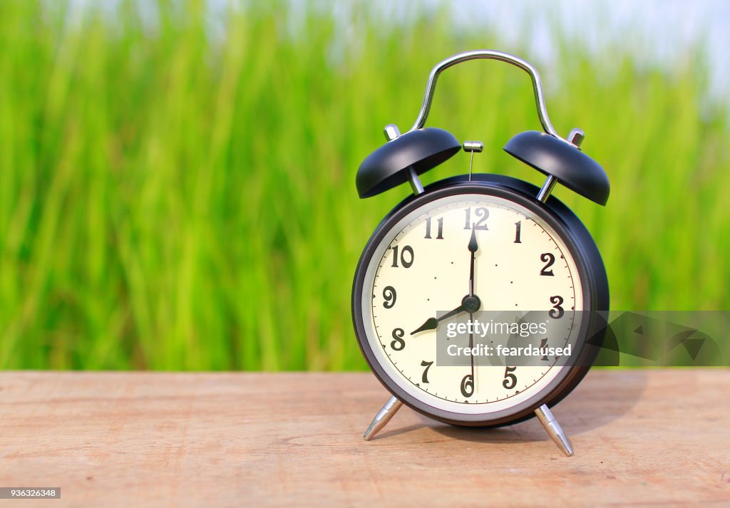 Alarm clock on table with grass background
