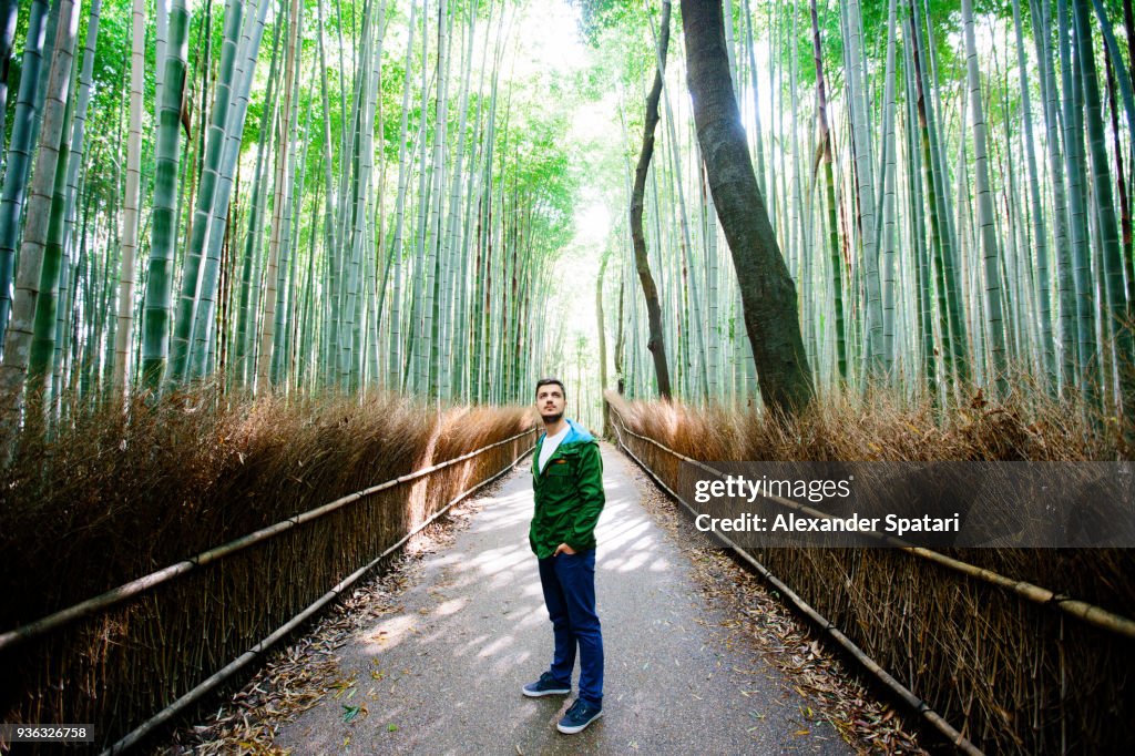 Young man exploring Arashiyama bamboo grove in Kyoto, Japan