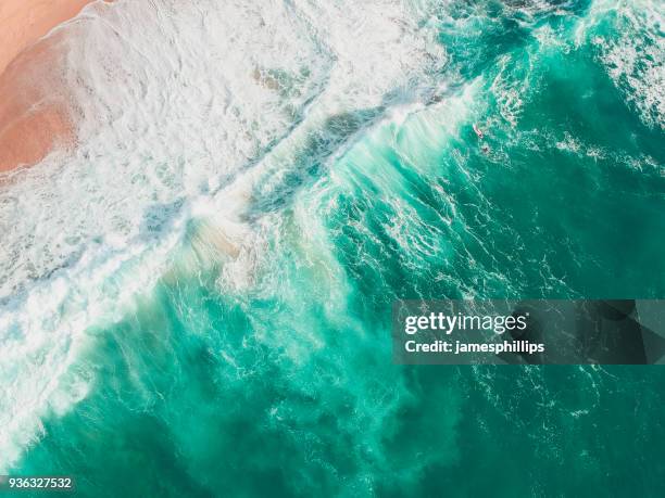 aerial view of a surfer wipeout, bondi beach, new south wales, australia - bondi stock pictures, royalty-free photos & images