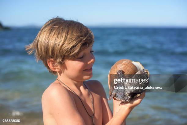 Boy And Shells 2,450 Kids Beach Shells Stock Photos, High-Res Pictures, and Images ...