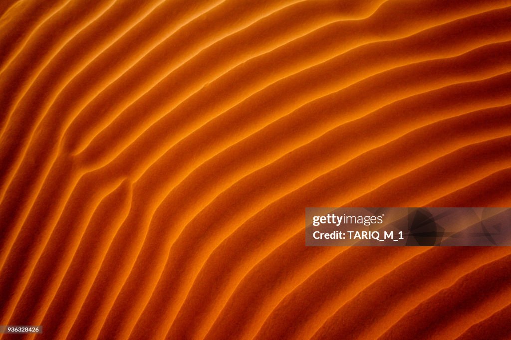 Close-up of ripples in the sand, Riyadh, Saudi Arabia