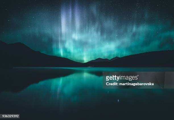 northern lights over lake, jasper, alberta, canada - symmetry nature bildbanksfoton och bilder
