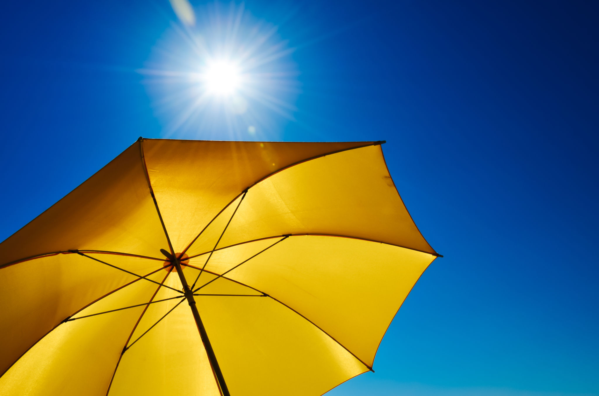 sunlight protection
