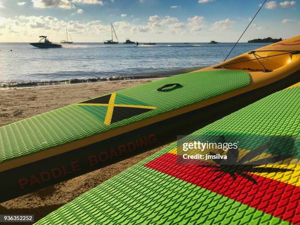 paddle boards on the beach - negril jamaica imagens e fotografias de stock