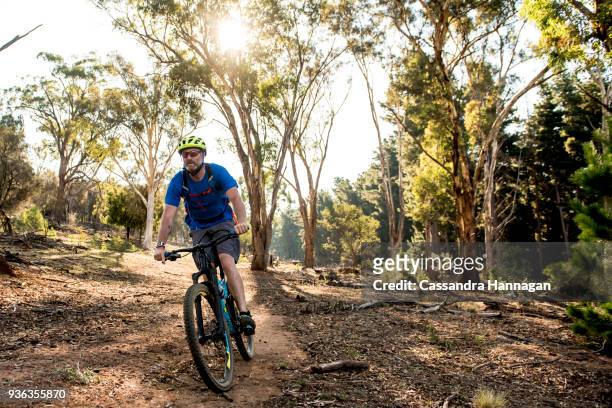a man mountain biking through majura pines mountain bike park - オーストラリア首都特別地域 ストックフォトと画像