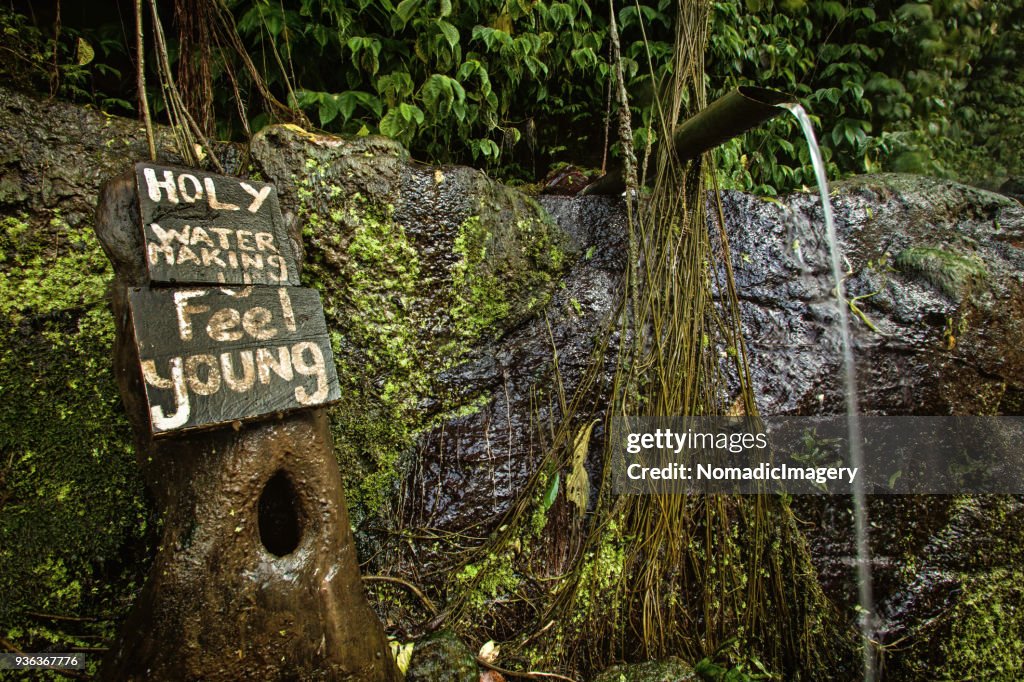 Freshwater spring in jungle with rustic comical sign