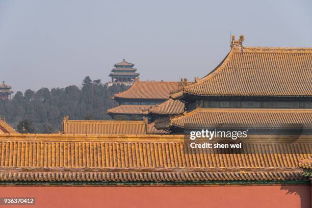 ancient building on a sunny day, the forbidden city, beijing, china - wei shen stock-fotos und bilder