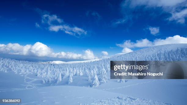 snow rime, zao, yamagata, japan - prefectura yamagata fotografías e imágenes de stock