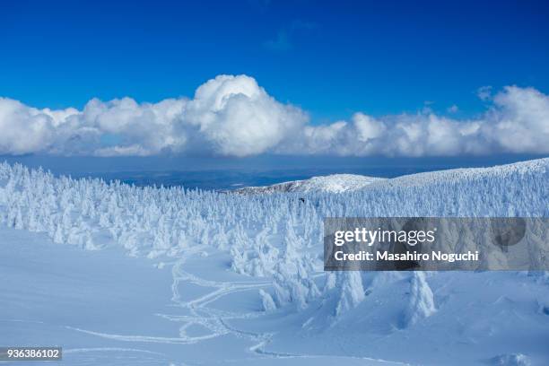 snow rime and clouds, zao, yamagata, japan - 樹氷 ストックフォトと画像