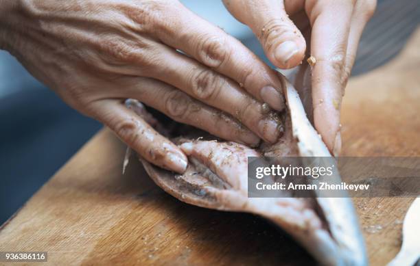 hands of woman chef preparing fish food - ausnehmen stock-fotos und bilder