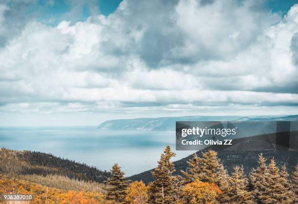 view from mackenzie mountain look-off of the gulf of st. lawrence, cape breton highlands national park, nova scotia, canada - neuschottland stock-fotos und bilder