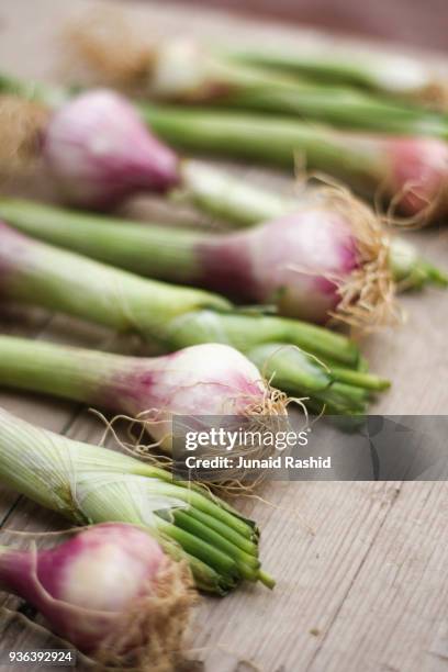 shoots and bulbs of spring onion with roots - bahawalpur stock pictures, royalty-free photos & images