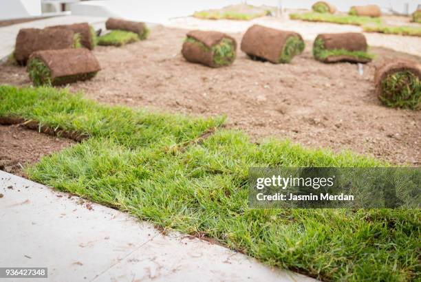 stacks of sod rolls - carpet rolls imagens e fotografias de stock