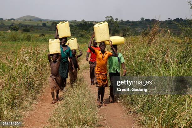 Ugandan children fetching water. Uganda.