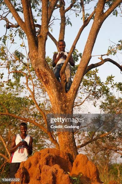 Ugandan searching for cell phone signal in a remote rural area. Uganda.