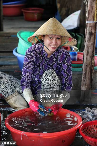 Vung Tau fish market. Woman sort through fresh catch of fish. Vietnam.