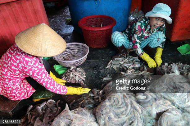 Vung Tau fish market. Women sort through fresh catch of fish. Vietnam.