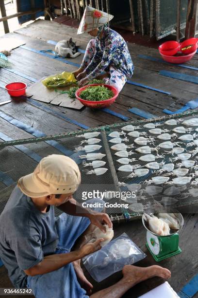 Vung Tau fish market. Man preparing dried squid. Vietnam.