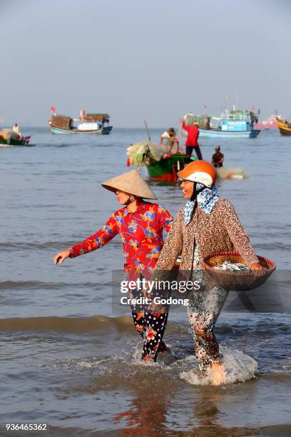 Vung Tau beach. Women sorting fishing catch. Vietnam.