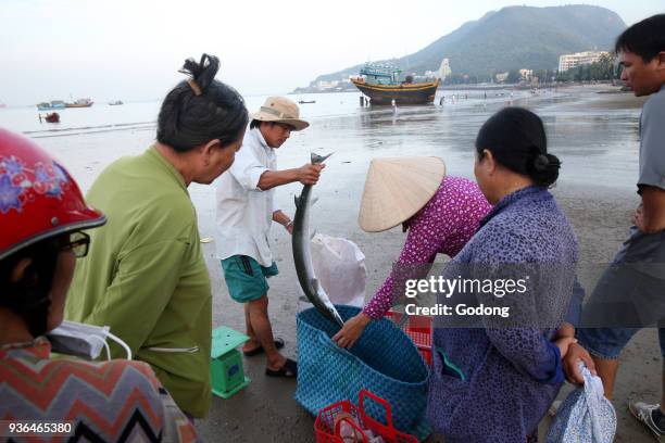 Vung Tau beach. Fish market. Vietnam.