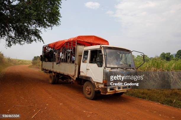 Sugarcane workers transport truck. Uganda.