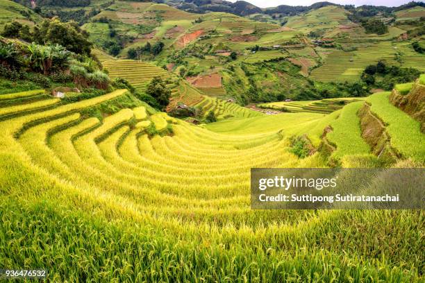 beautiful landscape view of rice terraces and house in mu cang chai,near sapa northern vietnam - luzon stock pictures, royalty-free photos & images