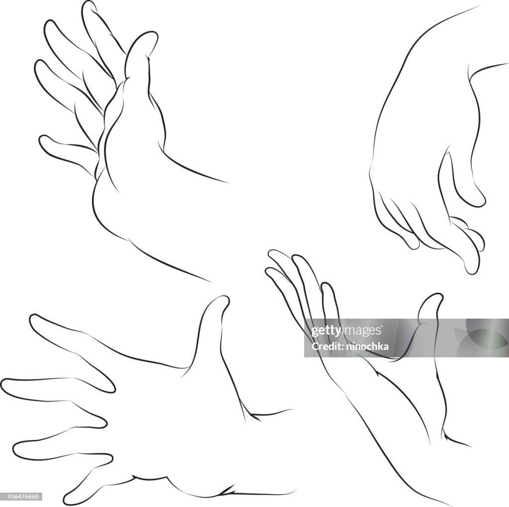 Human Arms
